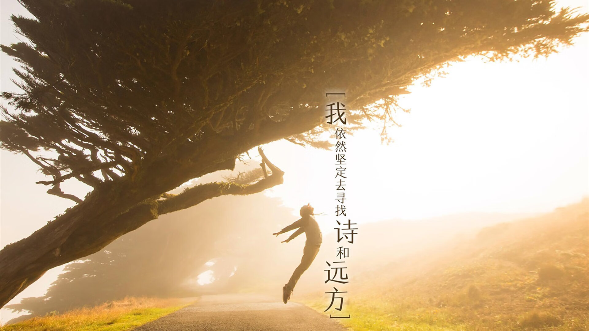黄蜂球队进攻多样化进展顺利，黄蜂队主力球员名单