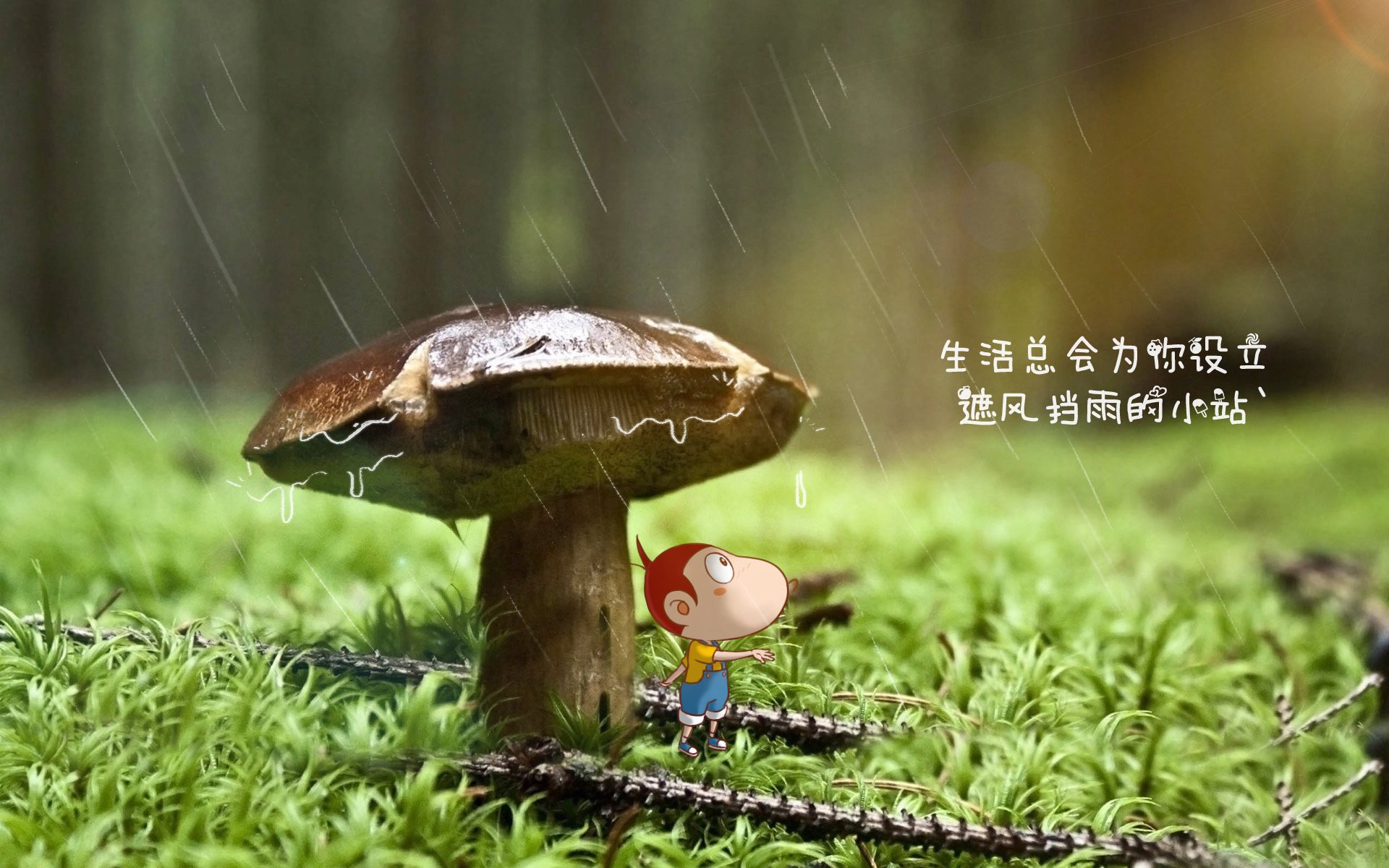 利兹联反击犀利多变，白玫瑰军团争夺欧战资格，利兹联为什么叫白玫瑰