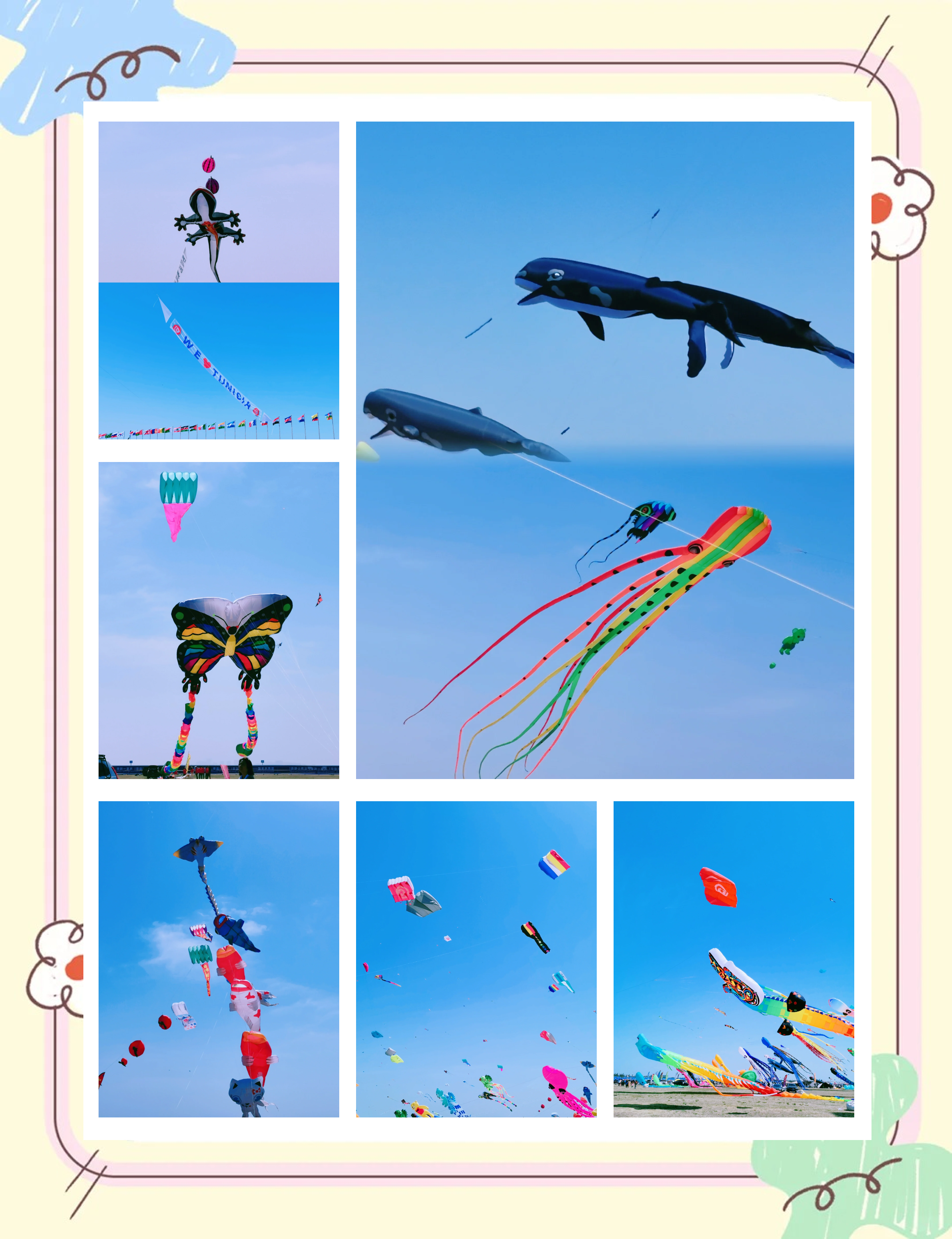 AYXSPORTSAPP-包含大型海上风筝比赛，天空中的运动盛典的词条