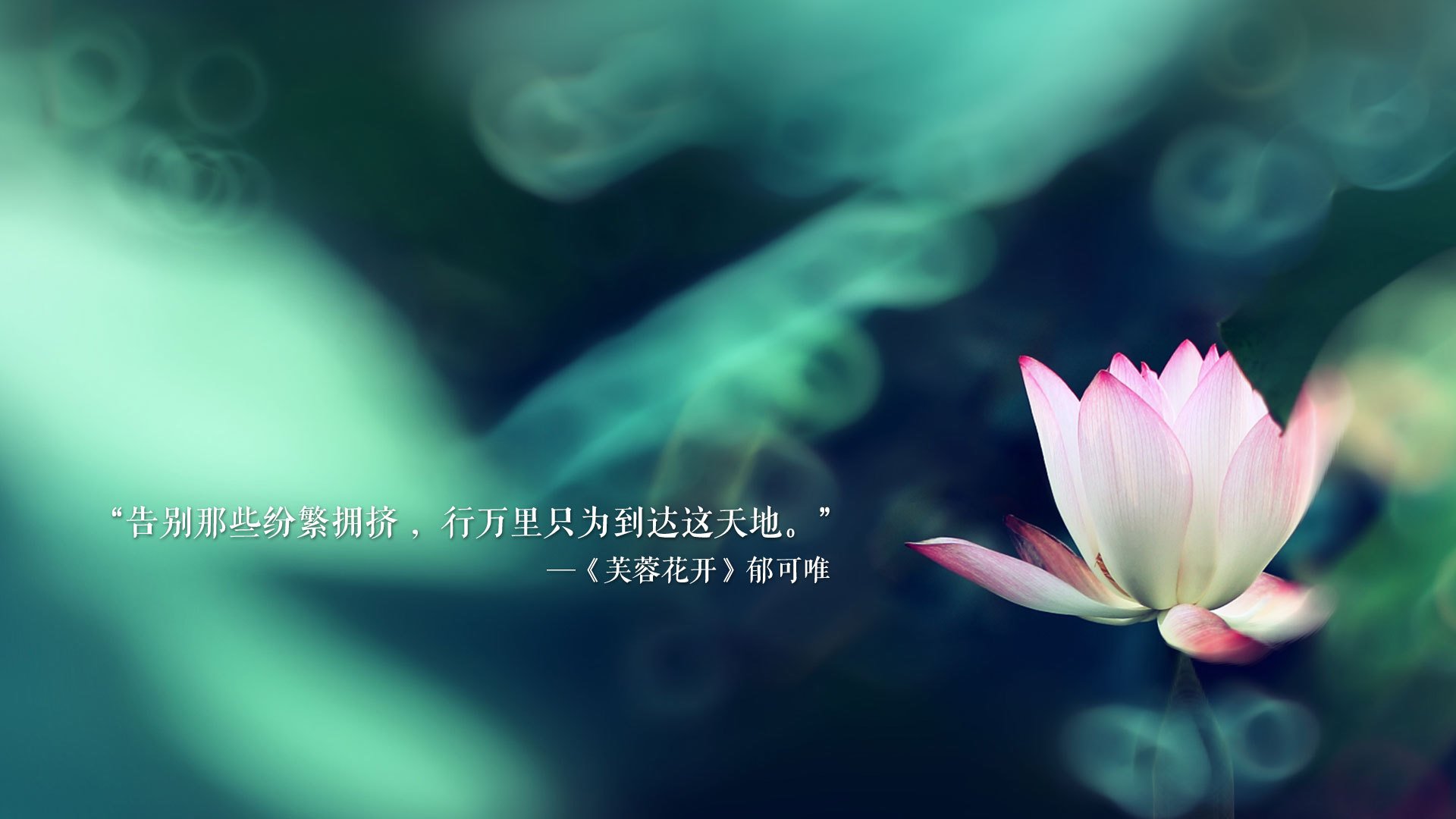 史上“最默契”的团队合作瞬间，配合到极致！，团队合作默契的例子