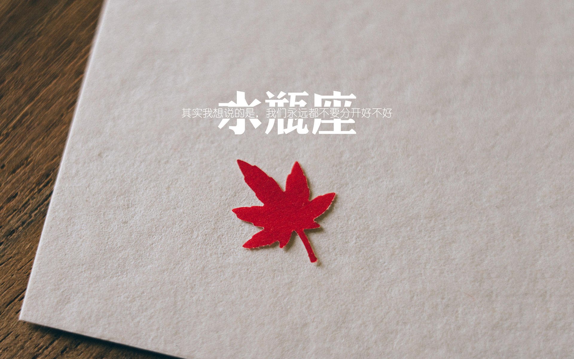 热血追逐：车迷与车手的亲密互动，热血追踪电影