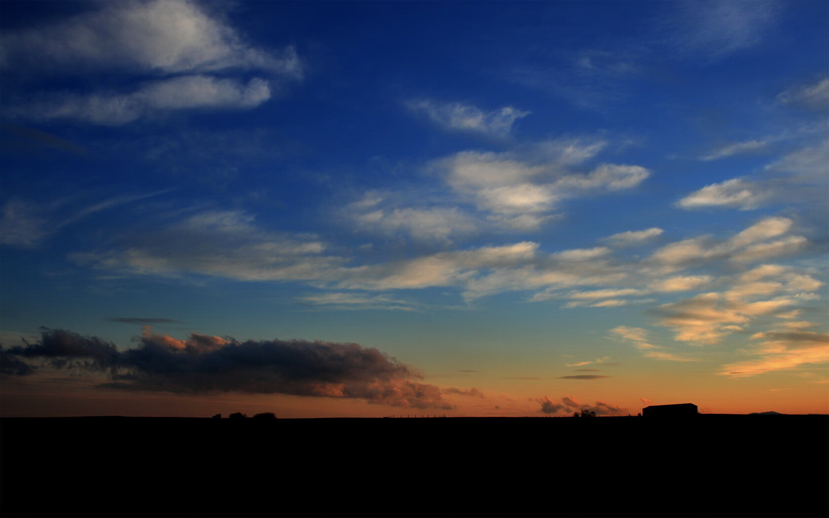 维尔·冯·威克：凭借强壮体魄，屡屡打破对方防线，为南非队提供优势