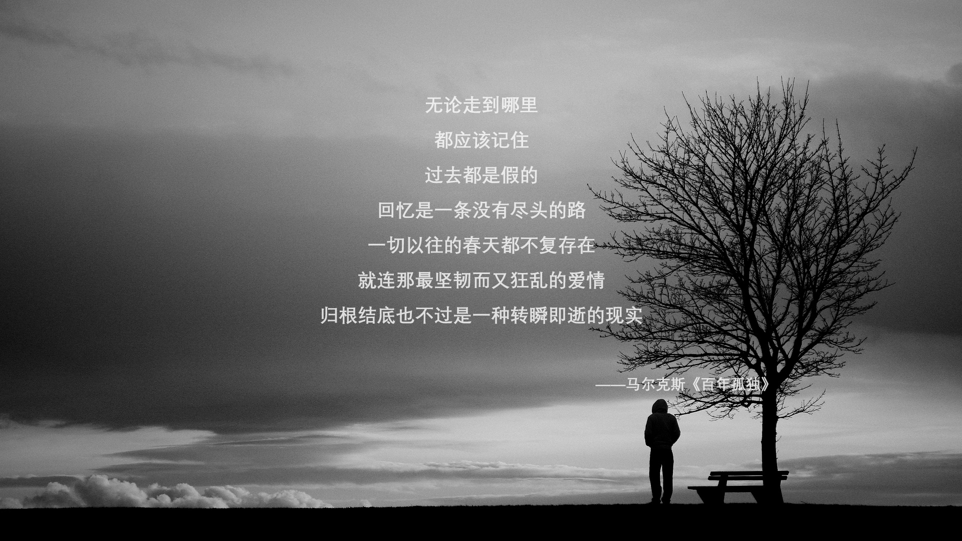 青少年体育竞赛组织管理方案，青少年体育竞训工作