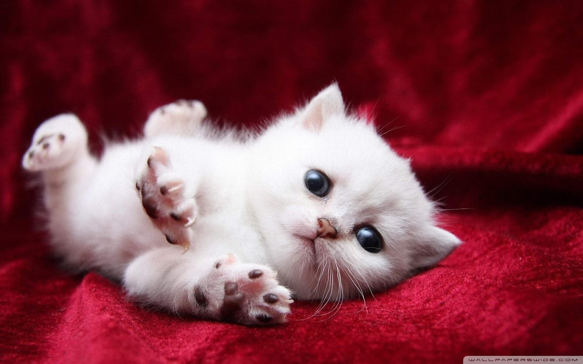 CBA裁判判罚引争议联盟回应提升执法标准，cba裁判判罚规则