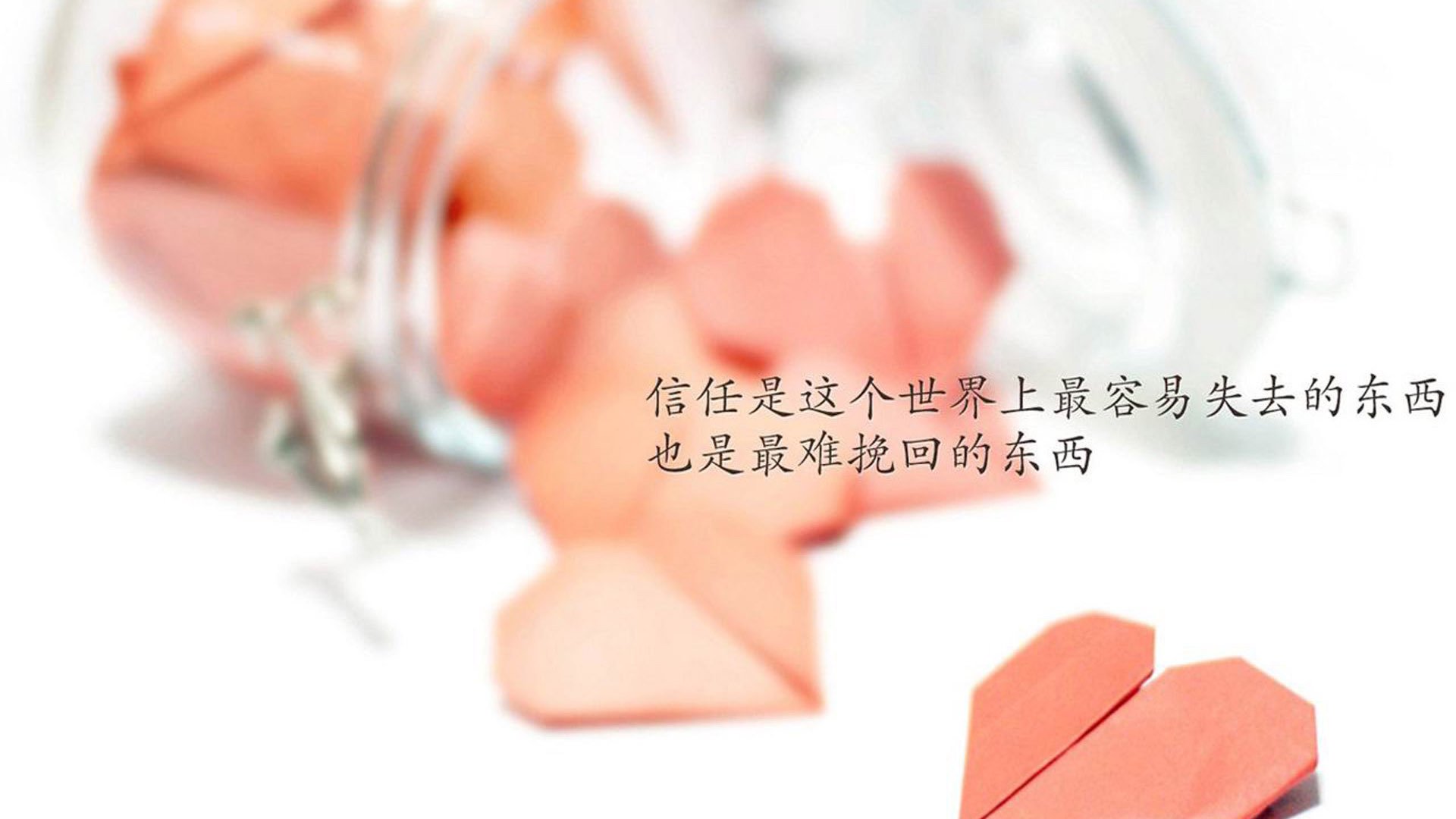 青少年足球公开赛逐步常态化打造成长型竞赛平台,青少年足球赛视频