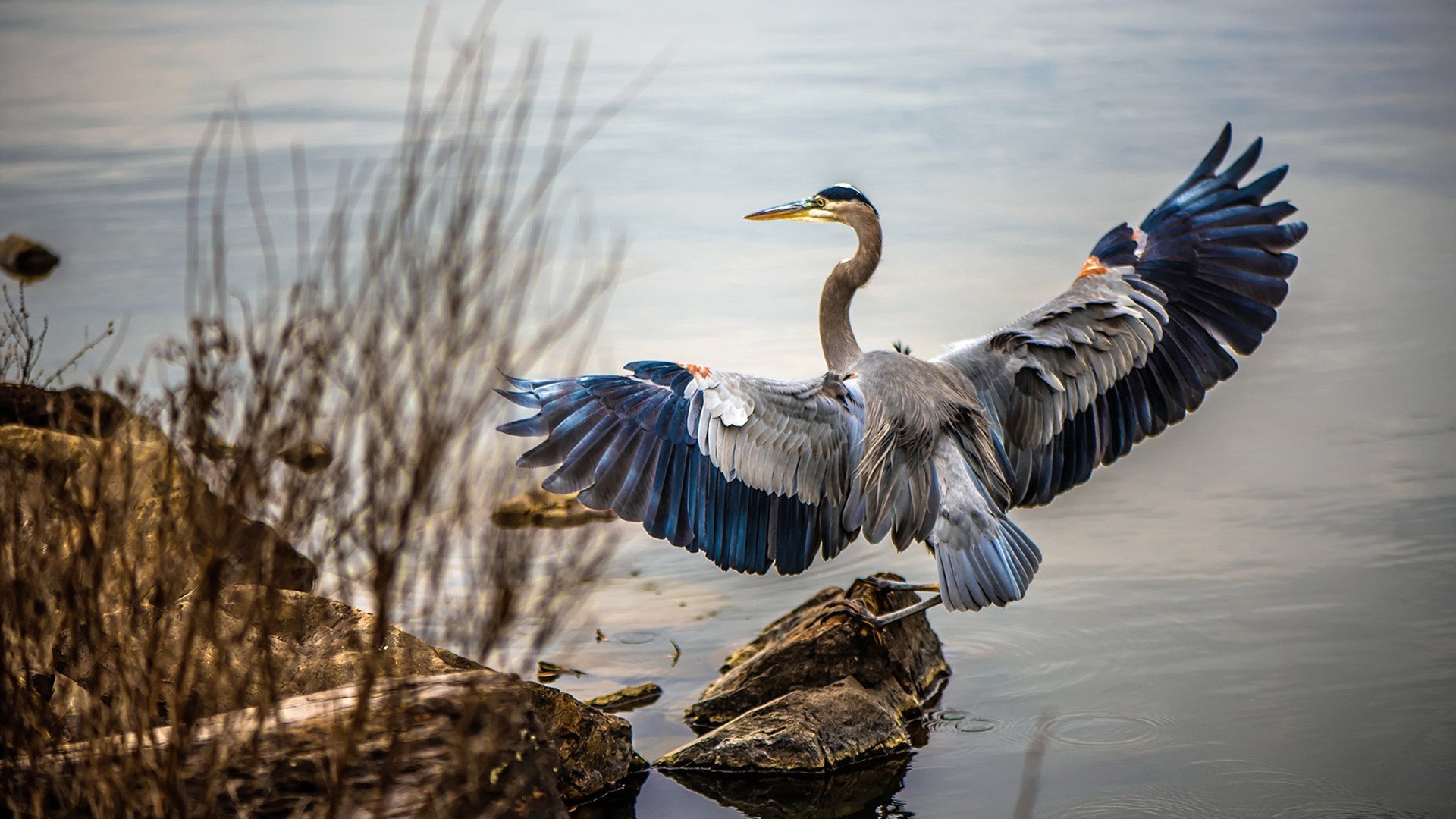 AYX官网-马拉维男篮在非洲锦标赛中夺冠，体育实力不断提升，非洲国家马拉维共和国简介