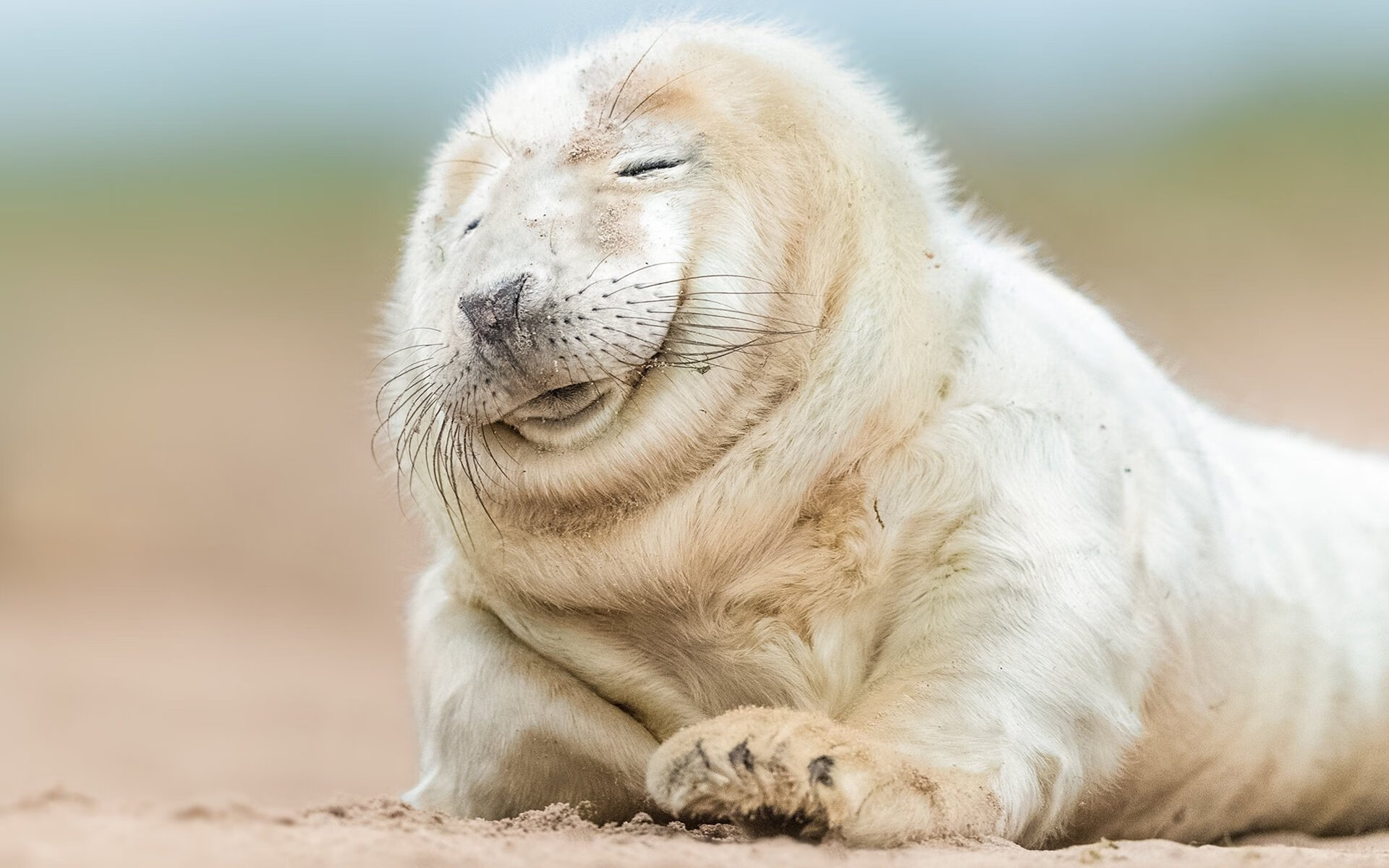 马拉维男篮在非洲锦标赛中夺冠，体育实力不断提升，非洲国家马拉维共和国简介