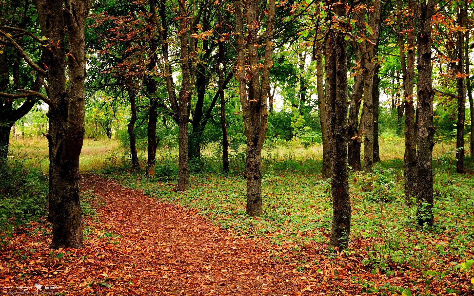 体育新闻中心协办体育文化传承与创新传播论坛，体育文化月新闻稿