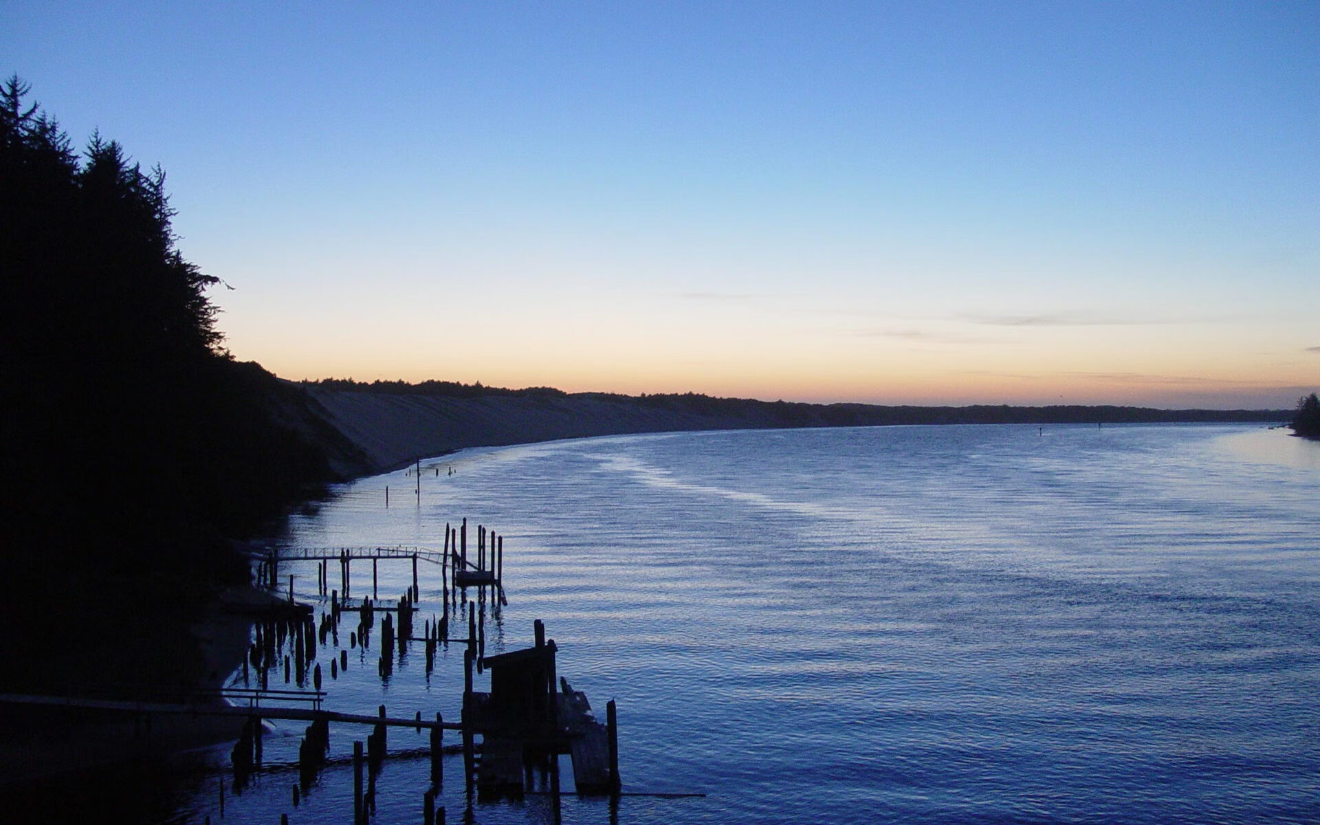 北京鸭赛季目标明确全力冲击前列，北京鸭苗图片