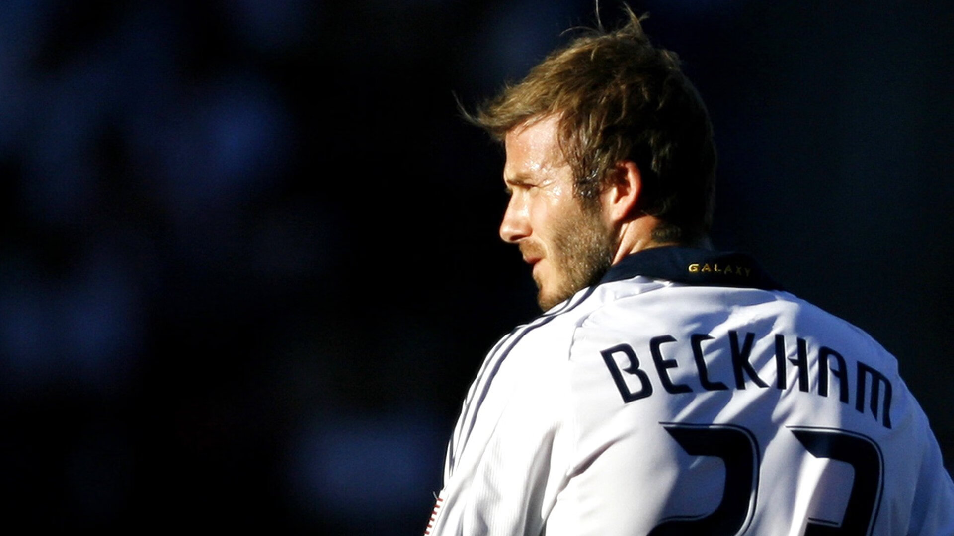 _未来体育场景：虚拟与现实完美融合_，未来体育馆概念设计